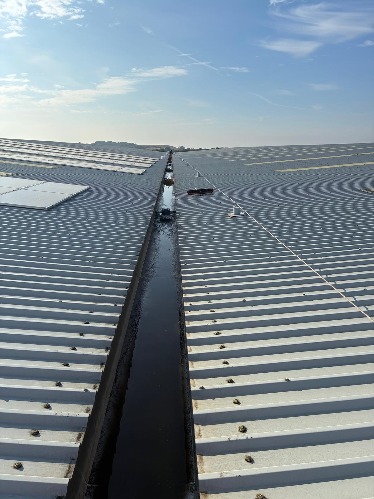 Warehouse Gutter Clearing: When Grass Is Growing in Your Box Gutter