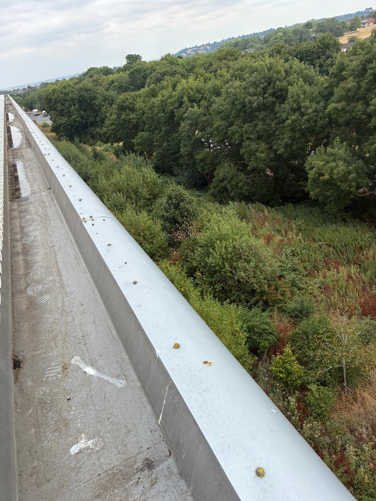 Grass and wheat actively growing from compacted silt in a warehouse box gutter channel — Birmingham distribution site