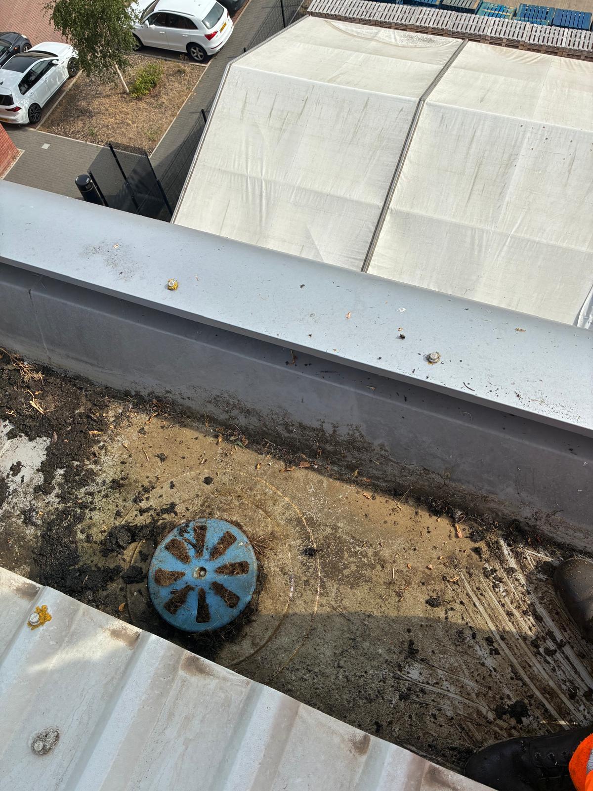 Compacted silt layer in warehouse box gutter showing the soil-like growing medium that had developed over years